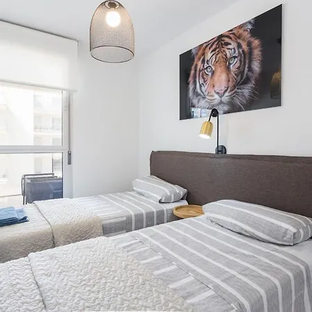 2 Montana - Available For Long デニア